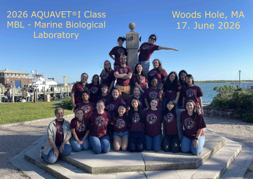 2026 AQUAVET I Class, Marine Biological Laboratory, Woods Hole, MA, June 17th