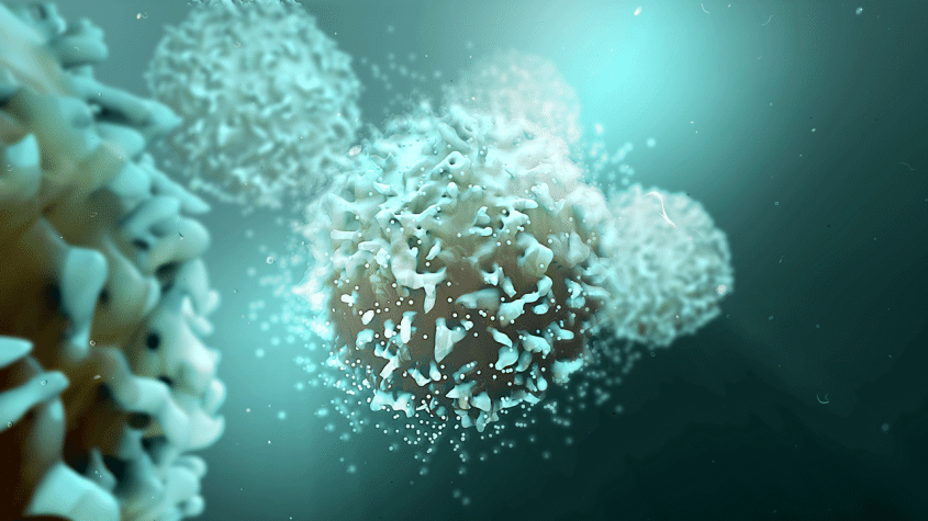 computer-generated illustration of T-cells