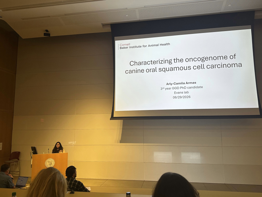 Arly Camila Armas Jimenez of the Evans Lab giving a presentation at podium
