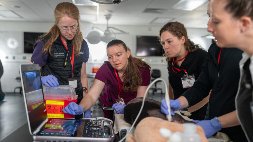 Four clinicians compare ultrasound readouts to the specimen