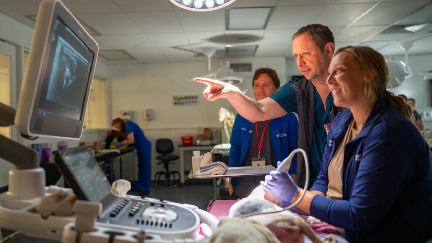Two clinicians examining an ultrasound readout
