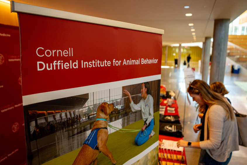A red banner shows prominently with the words Cornell Duffield Institute for Animal Behavior written on it. 