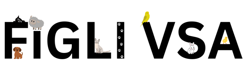 FiGLI VSA Logo