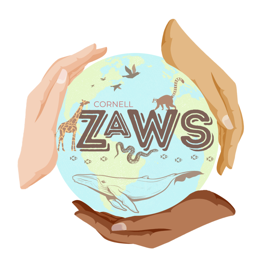 ZAWS Logo