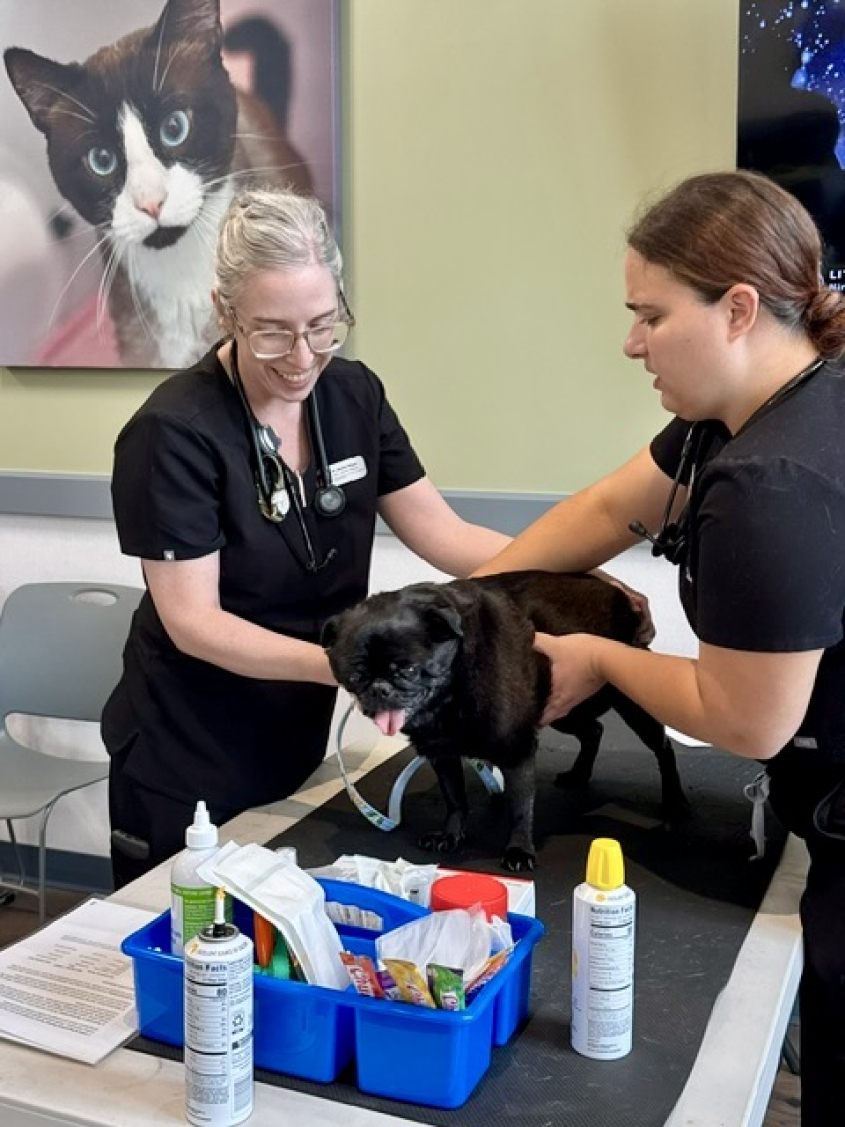 Dr. Reed and a student at a Veteran Wellness Clinic
