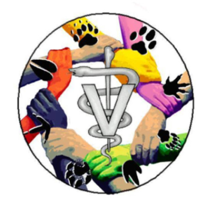 Veterinarians as One Inclusive Community for Empowerment logo