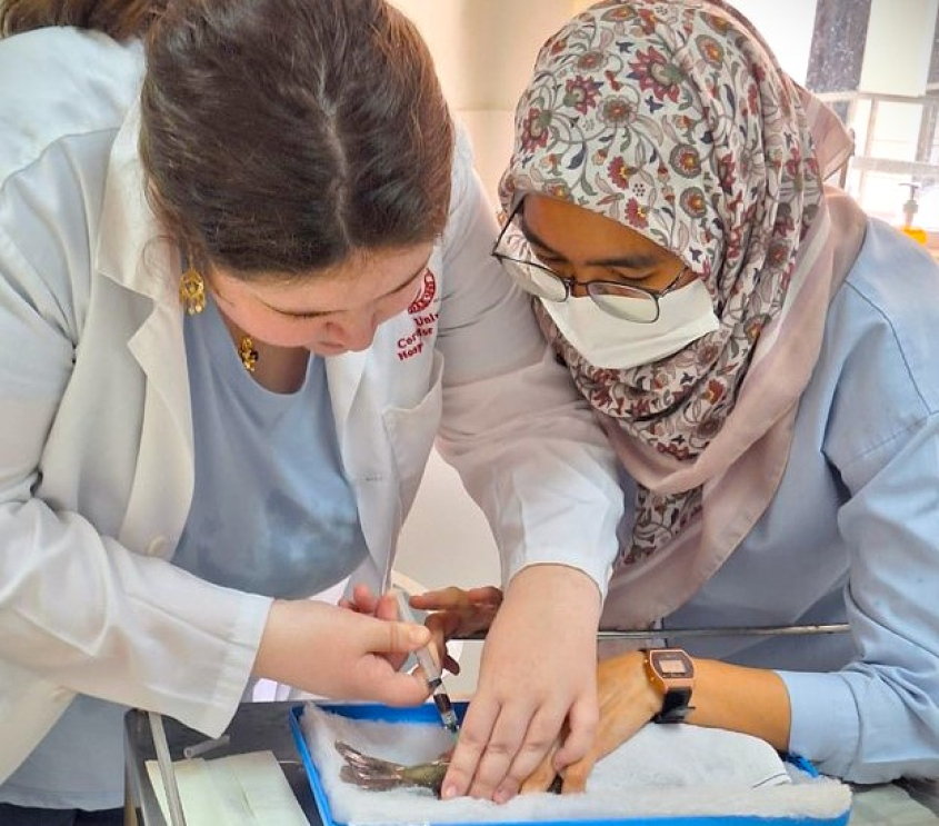 two people bent over exam table 