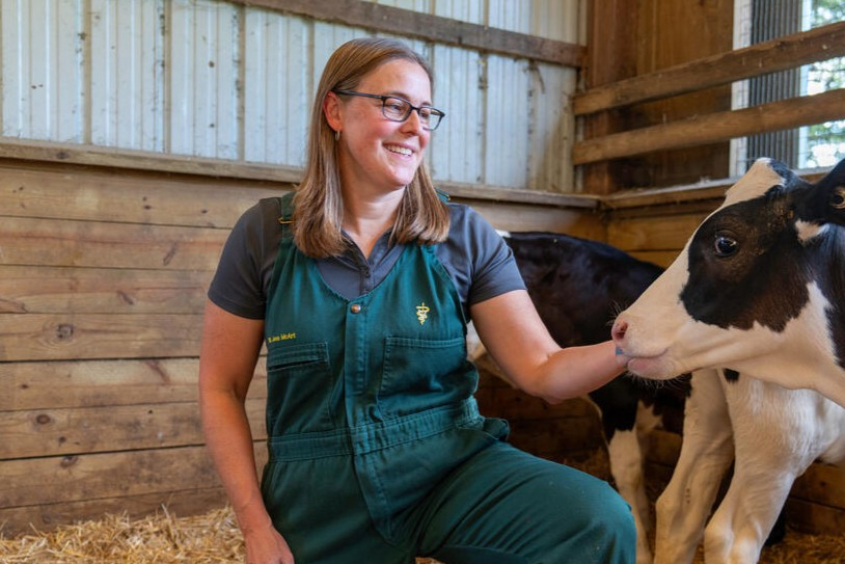 Dr. McArt with a calf