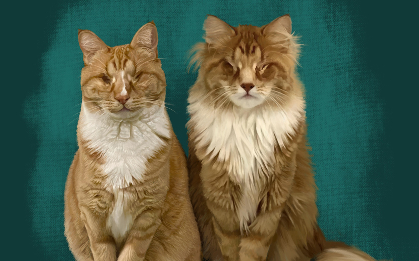 Two cats with a green background