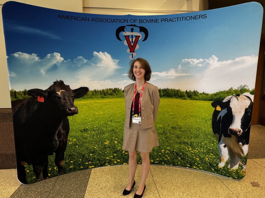 Katherine Koebel at the AABP conference standing in front of a banner with pictures of cows