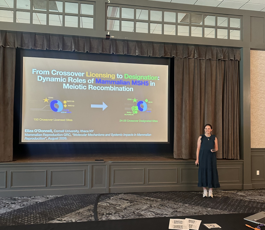 Eliza O'Donnell standing by screen presenting her research at conference