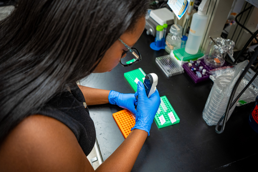 Student in Paula Cohen's lab