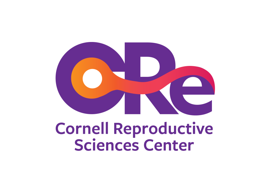 Core Logo