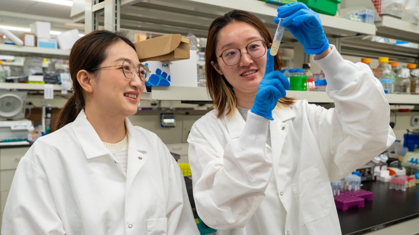 two students examining the contents of a test tube
