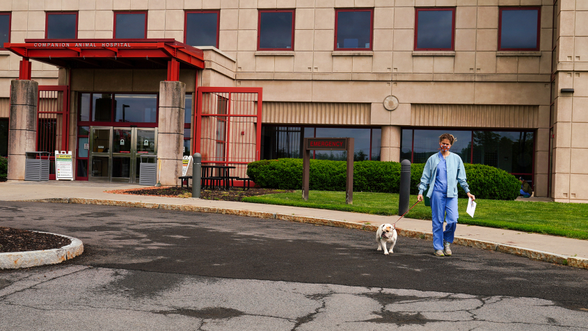 An LVT walks a small dog out of the companion animal hospital entrance