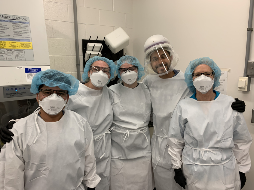 a team of scientists in biohazard protective suits