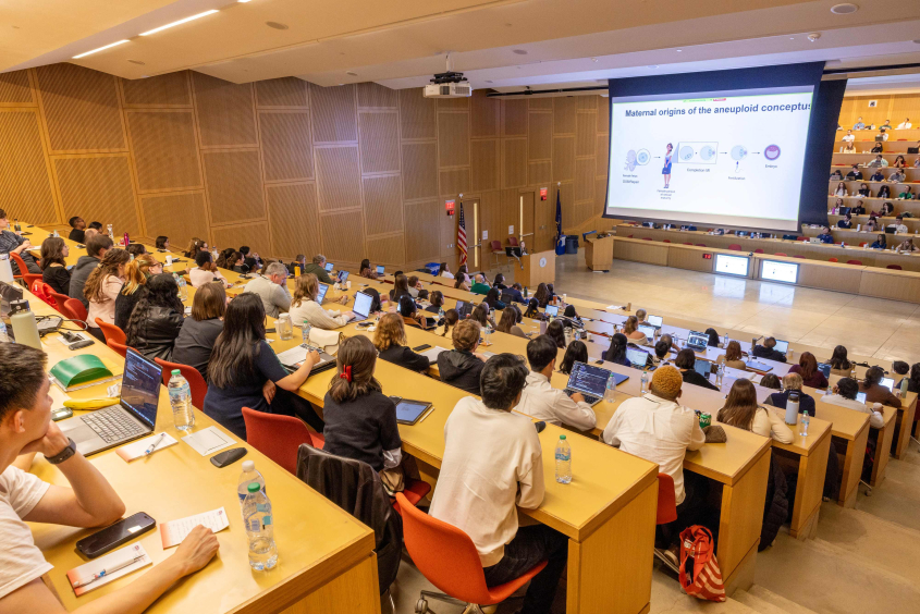 Students attending a lecture