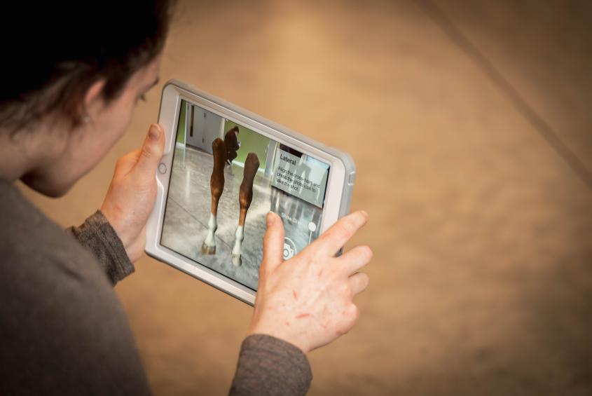 College Designed Ar App Sparks New Level Of Learning For Veterinary Students Cornell University College Of Veterinary Medicine College Designed Ar App Sparks New Level Of Learning For Veterinary Students Cornell University College Of Veterinary Medicine