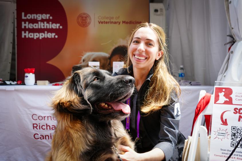 Dr. Aly Cohen kneels next to a giant dog sitting in front of a CVM booth