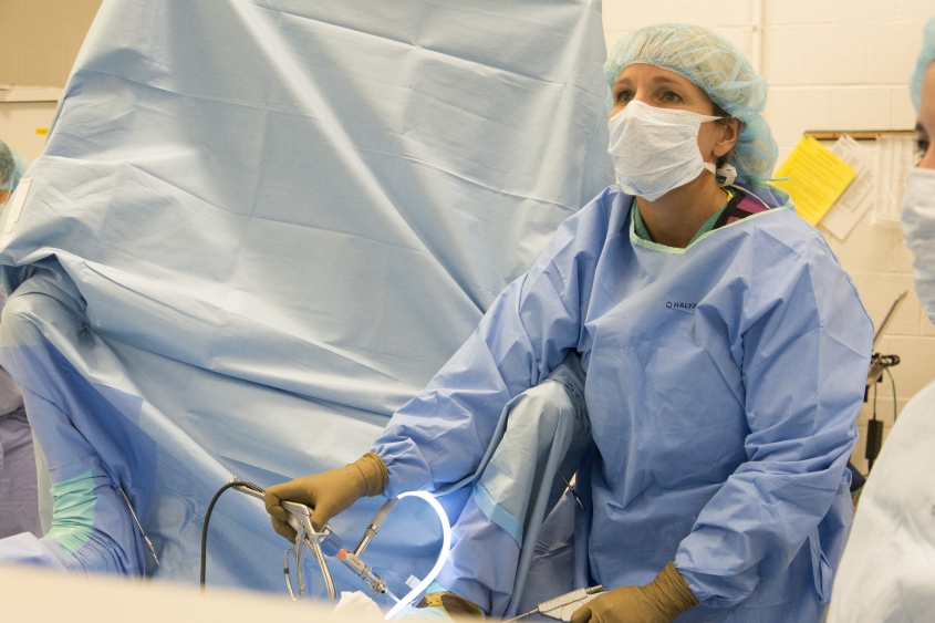Dr. Lisa Fortier in Surgery