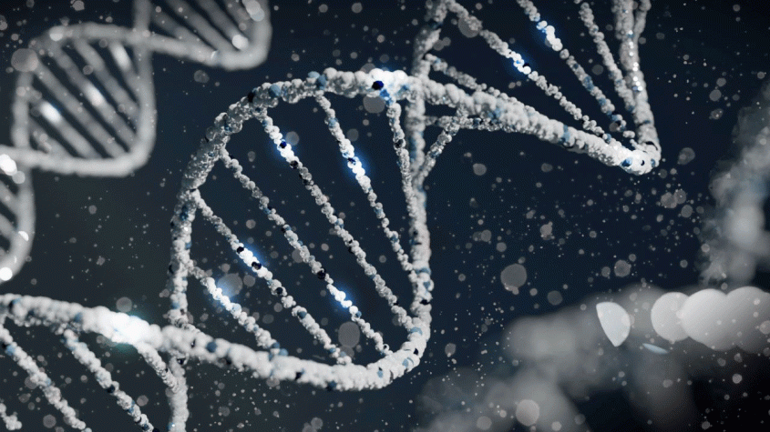 Illustration of DNA strands