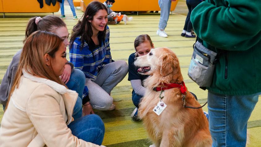 Cornell Companions celebrates 25th anniversary of animal-assisted outreach | Cornell University College of Veterinary Medicine Cornell Companions celebrates 25th anniversary of animal-assisted outreach | Cornell University College of Veterinary Medicine
