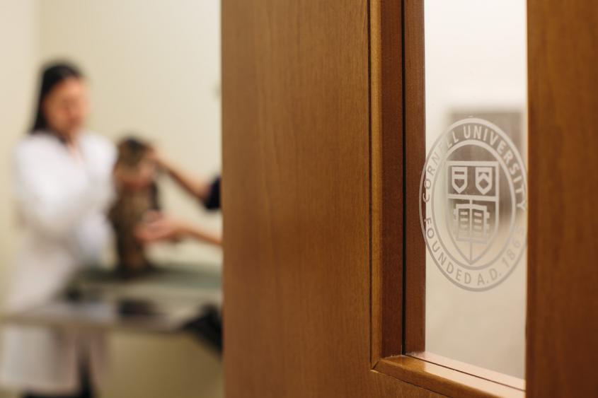 Focus on the Cornell seal on a door to an exam room at CUVS