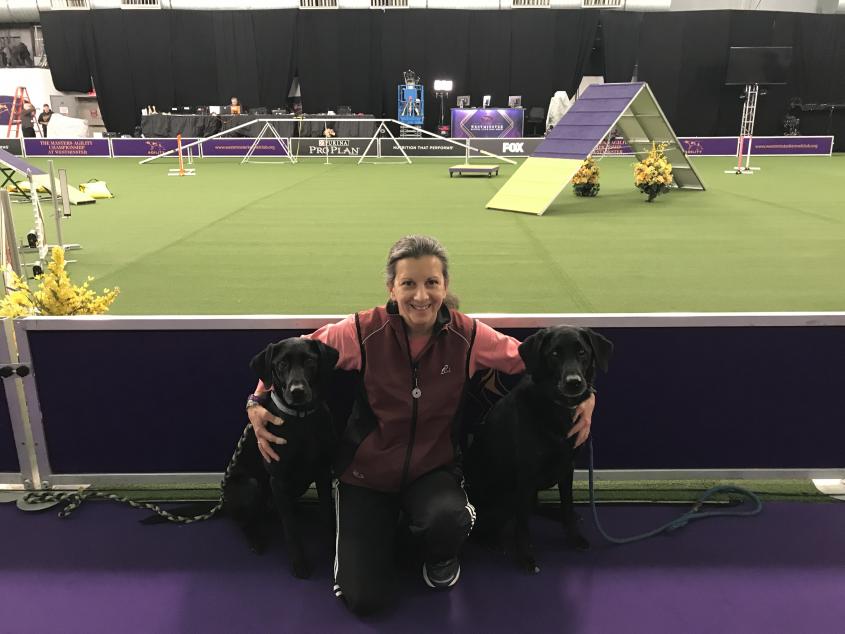 Alumna Liz Dole with her dogs at Wesminster dog show