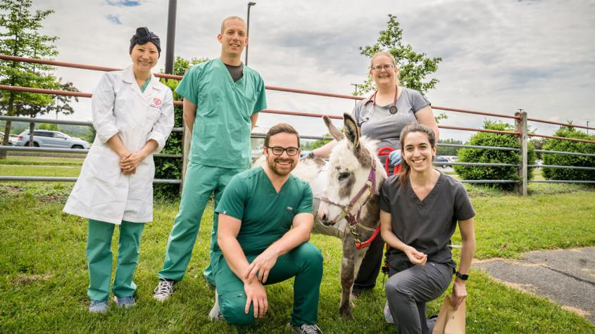 Dr. Saki Kadotani, visiting locum in cardiology; Dr. Romain Pariaut, section chief of cardiology; Dr. Lawrence Santistevan (left, kneeling), cardiology resident; Dr. Cortney Pelzek (right, kneeling), cardiology resident; Dr. Kathryn Mitchell holding Nix