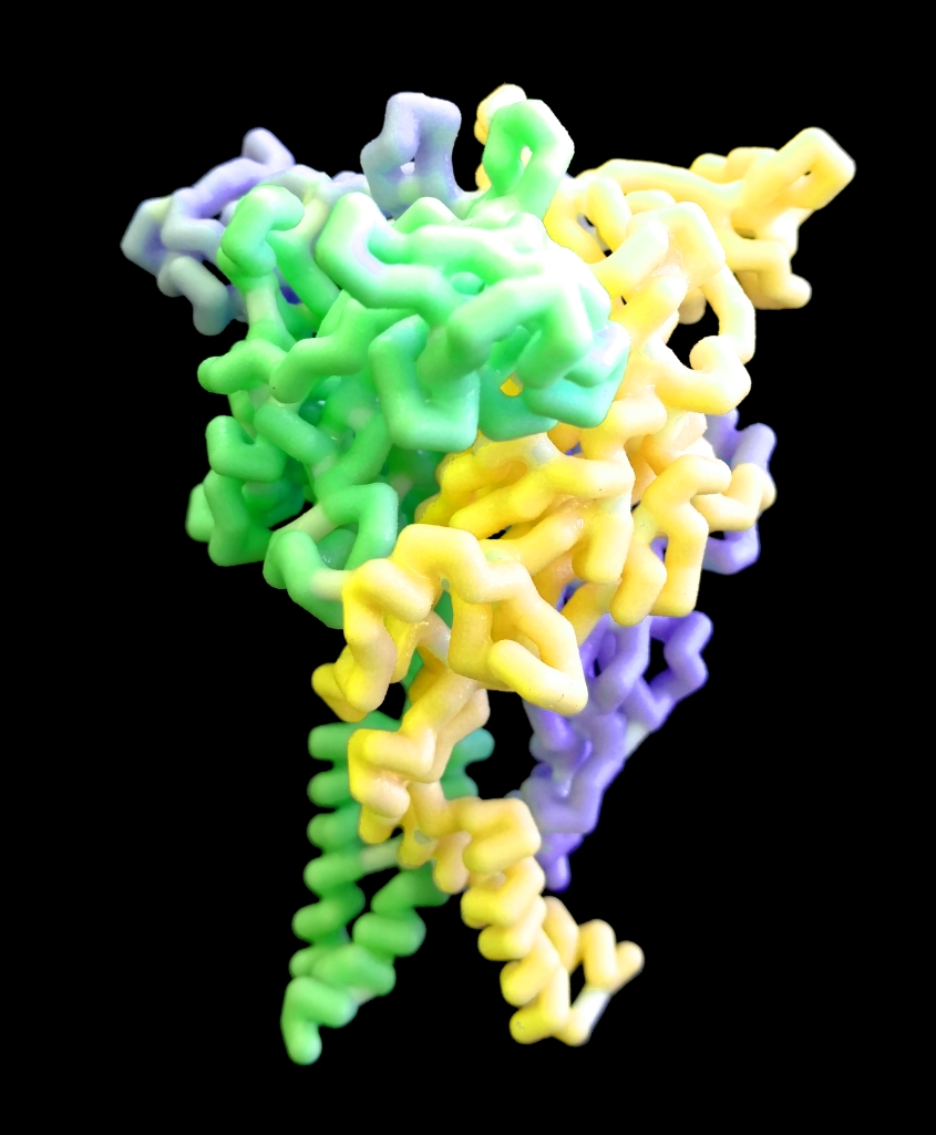 The molecular structure of receptor P2X7