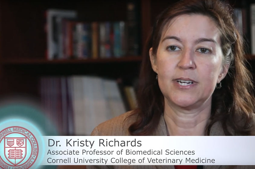 Kristy Richards