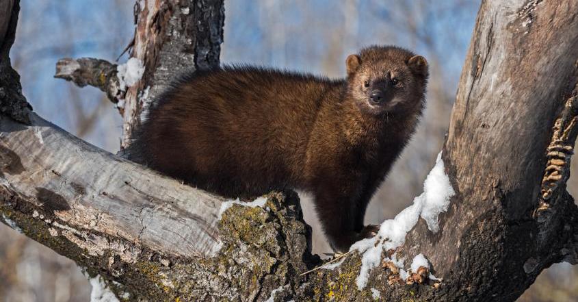 A fisher in upstate New York