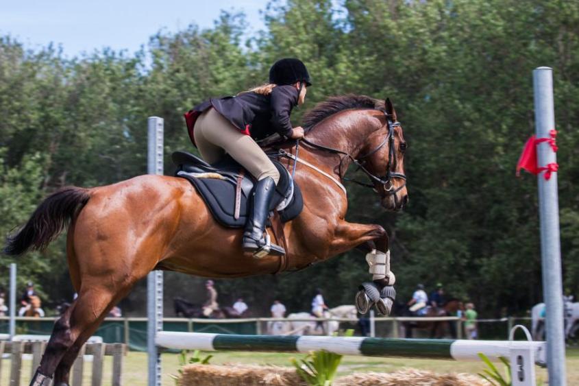 Person riding a horse going over a jump. 