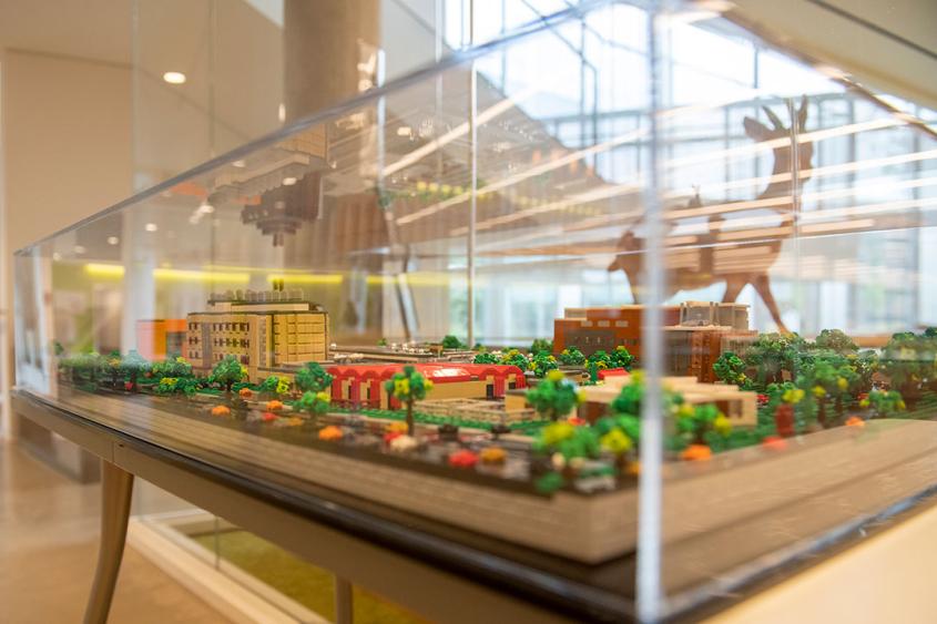 Everything is awesome: Student creates LEGO replica of veterinary college