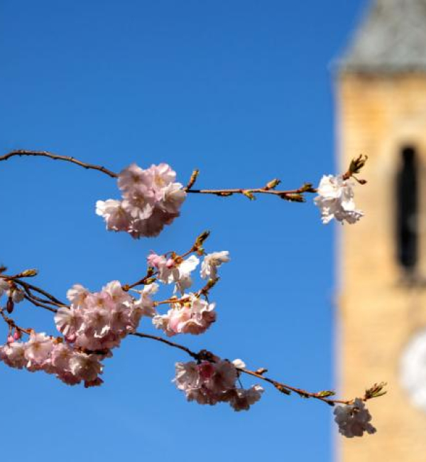 Cornell clock tower
