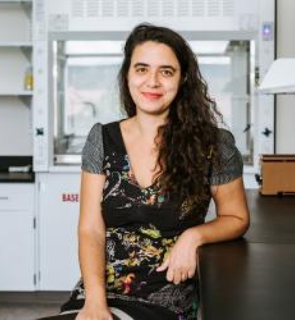 Eirene Markenscoff-Papadimitriou