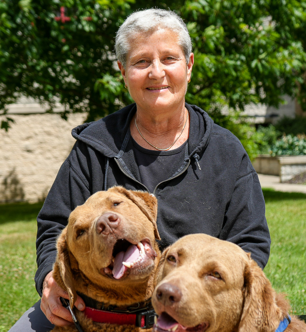 Fubini sitting outside with two chocolate labs