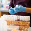 Postdocs in Scott Emr's lab in Weill Hall work to freeze down cell samples to preserve the lab’s research.