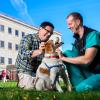 Dr. Chris Frye and male client happily pet a dog in front of Cornell's Hospital for Animals 