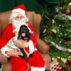 Santa Claus and a dog pose for a photo 