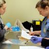 Two clinicians reading an animal patient's records