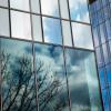 Tree reflections in the mirrored exterior windows at the Cornell College of Veterinary Medicine