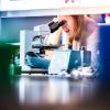 Bethany Cummings, assistant professor of biomedical sciences, in her lab