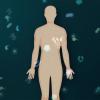 Graphic showing body