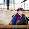 Jessica McArt working in the dairy barn