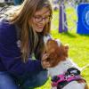 A Cornell veterinary student greets a white and brown dog on a sunny day at the Wine Country Circuit dog show