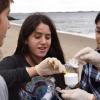 Brooklyn students collect water samples to test for the presence of invasive species