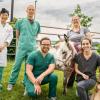 Dr. Saki Kadotani, visiting locum in cardiology; Dr. Romain Pariaut, section chief of cardiology; Dr. Lawrence Santistevan (left, kneeling), cardiology resident; Dr. Cortney Pelzek (right, kneeling), cardiology resident; Dr. Kathryn Mitchell holding Nix