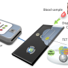 point of care testing schematic