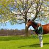 Heidi Reesink and a horse